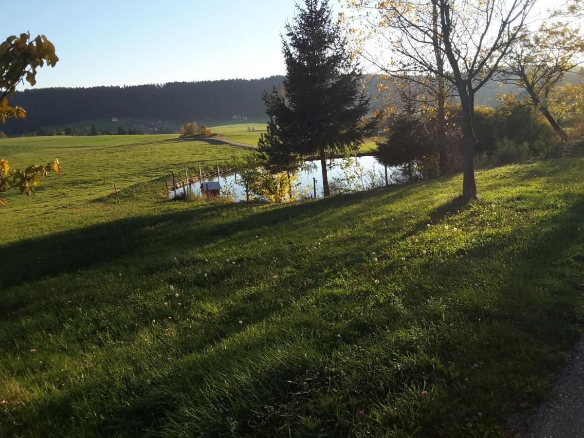 Ferienhof Kienbronnerhof シルタッハ エクステリア 写真
