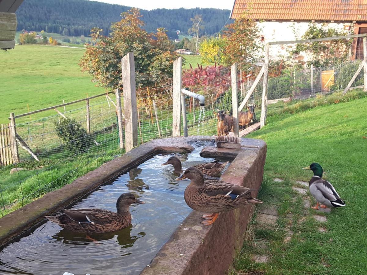 Ferienhof Kienbronnerhof シルタッハ エクステリア 写真